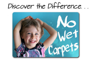 carpet cleaning salt lake city utah