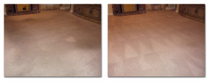 Green Solutions Carpet Cleaning in Salt Lake City
