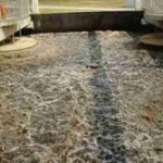 salt lake carpet cleaning SLC
