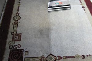 Area Rug Cleaning Services by Green Solutions