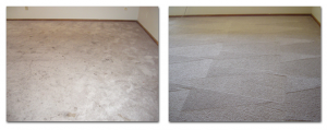Green Solutions Carpet Cleaning in Salt Lake City