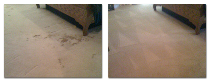 Green Solutions Carpet Cleaning - Pet Stain & Odor Service - Before & After