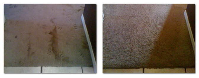carpet-cleaning-before-after-6