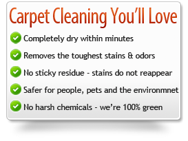 dry organic carpet cleaning benefits - salt lake city, ut