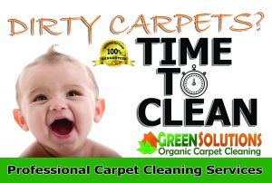 carpet cleaning services in salt lake city